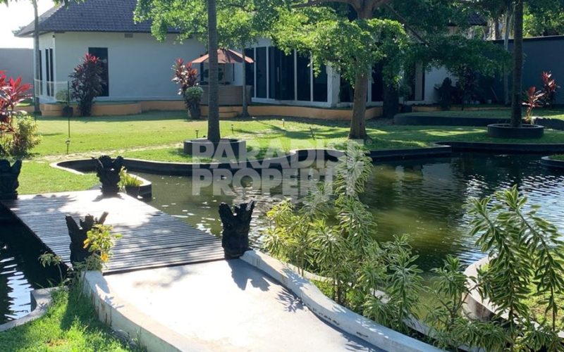 Tranquil Oasis: Spacious 3-Bedroom Villa with Pool in North Kerobokan – Yearly Rental