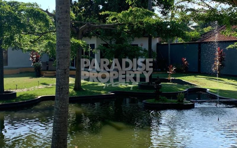 Tranquil Oasis: Spacious 3-Bedroom Villa with Pool in North Kerobokan – Yearly Rental