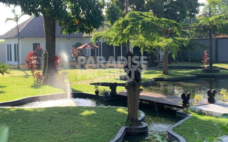 Tranquil Oasis: Spacious 3-Bedroom Villa with Pool in North Kerobokan – Yearly Rental