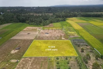 Dijual: Tanah Hak Milik 15 Are di Tabanan – Zona Pemukiman (Kuning)