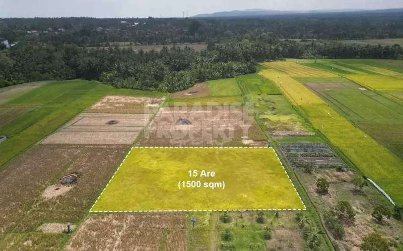 Dijual: Tanah Hak Milik 15 Are di Tabanan – Zona Pemukiman (Kuning)