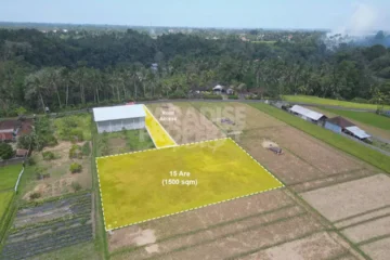 Dijual: Tanah Hak Milik 15 Are di Tabanan – Zona Pemukiman (Kuning)