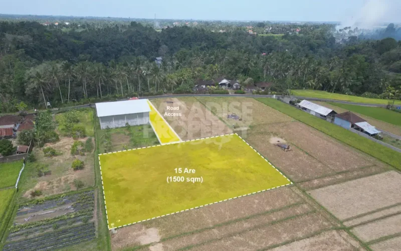 Dijual: Tanah Hak Milik 15 Are di Tabanan – Zona Pemukiman (Kuning)