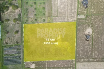Dijual: Tanah Hak Milik 15 Are di Tabanan – Zona Pemukiman (Kuning)