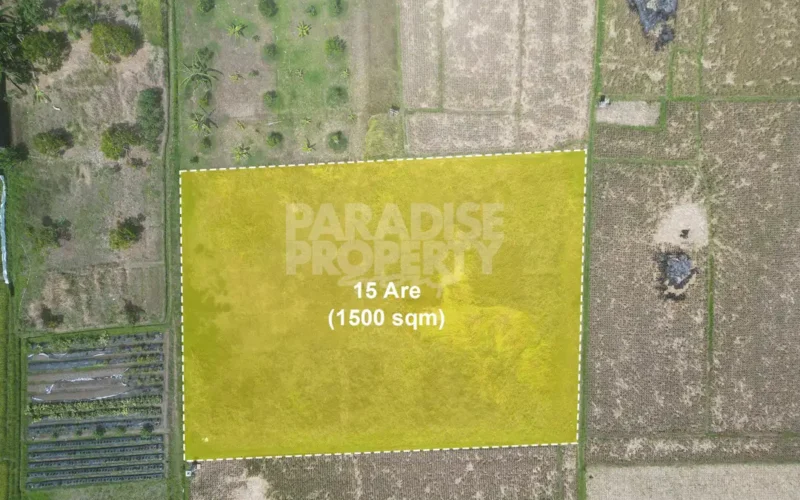 Dijual: Tanah Hak Milik 15 Are di Tabanan – Zona Pemukiman (Kuning)