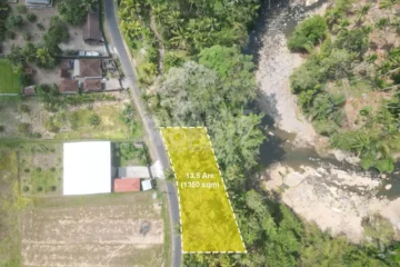 Dijual: Tanah Riverside 13,5 Are di Tabanan – View Sungai Permanen (Zona Kuning)