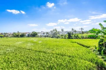 Leasehold 3-Bedroom Mediterranean-Style Villa for Sale in Seseh, Bali