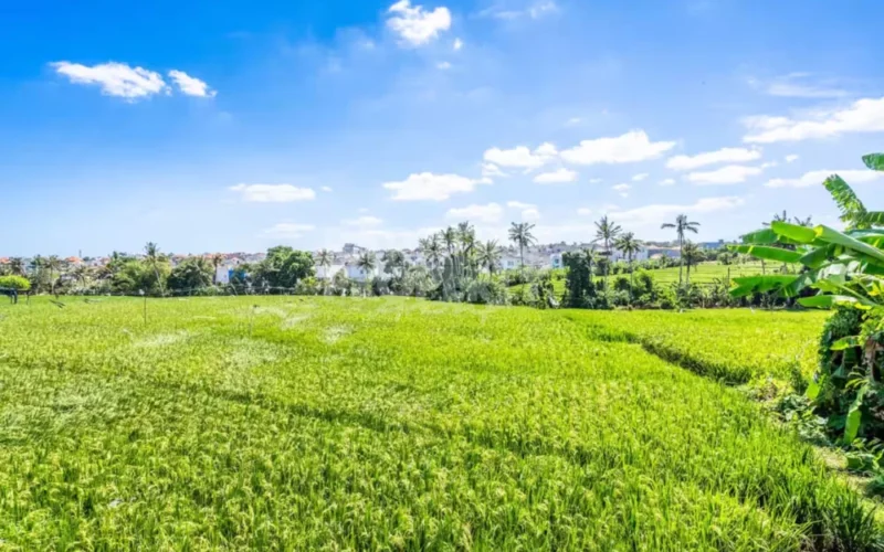 Leasehold 3-Bedroom Mediterranean-Style Villa for Sale in Seseh, Bali