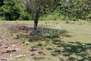 Freehold 1400m2 Land for Sale in Balangan, Bali