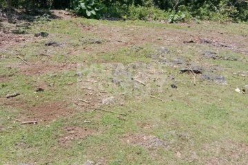 Freehold 1400m2 Land for Sale in Balangan, Bali
