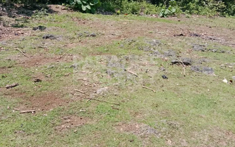 Freehold 1400m2 Land for Sale in Balangan, Bali